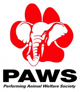 Paws Logo
